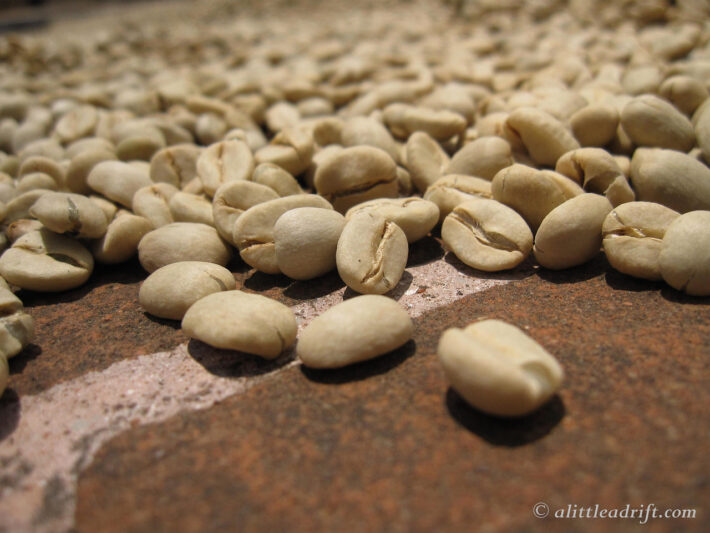 A coffee farm tour outside of Antigua, Guatemala