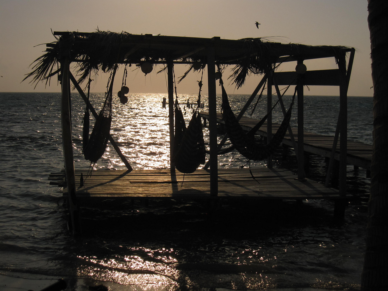 hammocks are a great place to relax while traveling on vacation