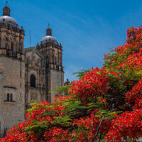 My Favorite Things to in Oaxaca After Living There for Six Months