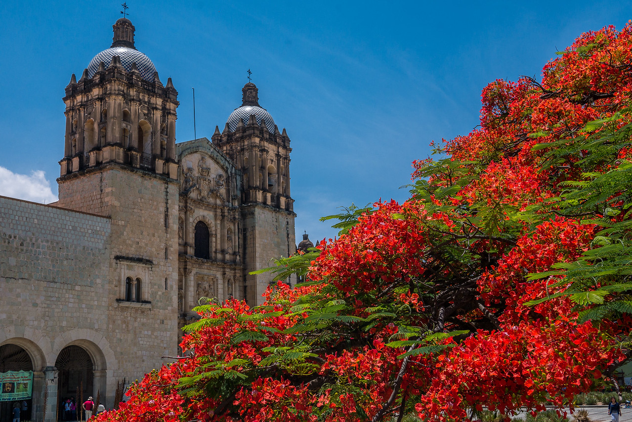 Best Things to Do in Oaxaca (2024) - A Little Adrift