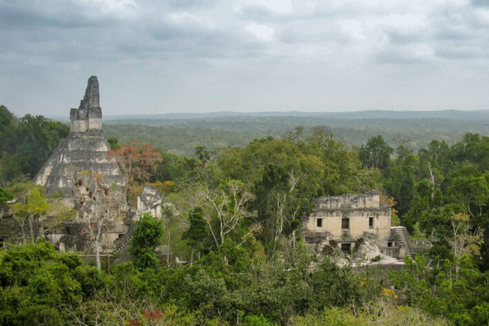 Panoramic view over the Tikal ruins and jungle in Guatemala