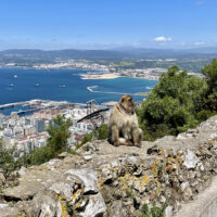 A Little Border Crossing… A Day Trip to Gibraltar from Málaga